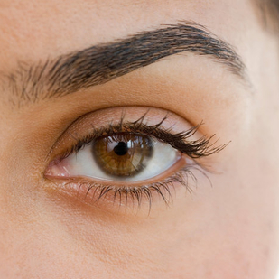 Eyebrow tinting